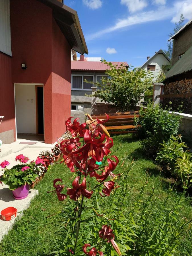 Apartments Bozovic جابلياك المظهر الخارجي الصورة